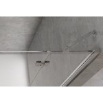 RIKA DOUBLE 110 Čiré Sprchové dveře otevírací