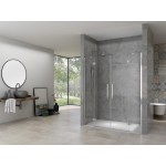 RIKA DOUBLE 110 Čiré Sprchové dveře otevírací