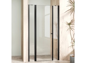 ALFA LINE II Black 95 Čiré Sprchové dveře jednokřídlé s pevnými stěnami v rovině
