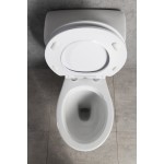 MANUEL WC kombi, dvojtlačítko 3/6l, spodní odpad, bílá