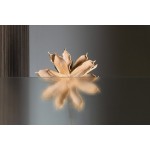 PILOT otočné sprchové dveře 1000mm