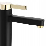 PLEA black+gold Umyvadlová baterie