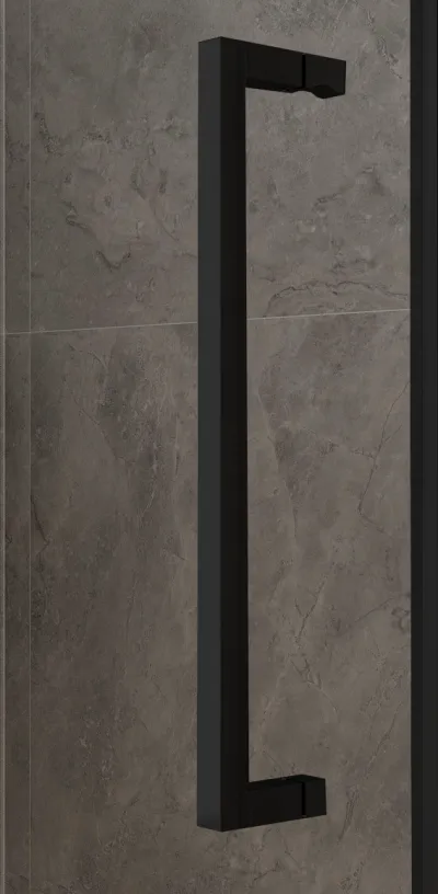 TERA Black 100-105 Grape Sprchové dveře posuvné